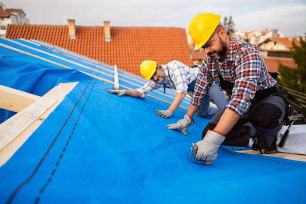 Best Roof Maintenance Services  in Heidelberg, TX