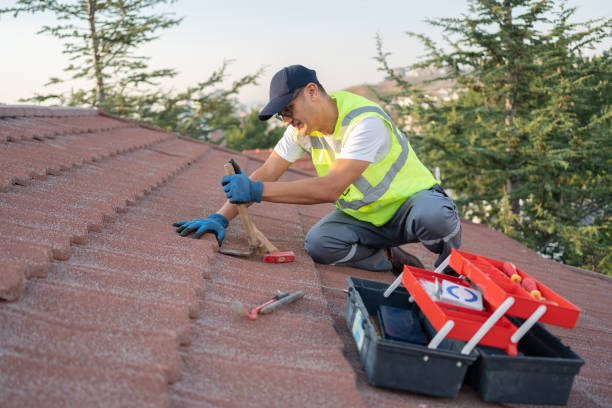 Best Gutter Installation and Roofing  in Heidelberg, TX