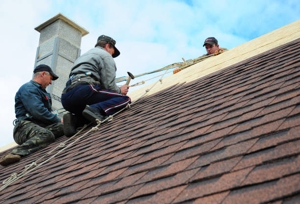 Best Roof Leak Repair  in Heidelberg, TX